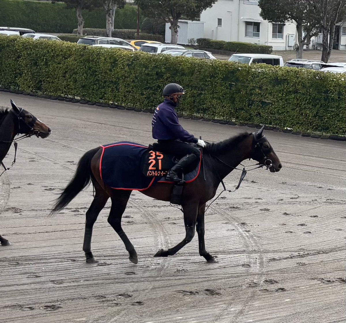 競馬専門紙「優馬」 tweet media