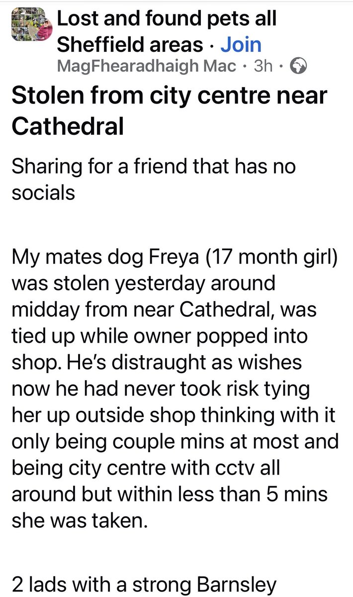 MakeChipsCount to Reunite Pets tweet media