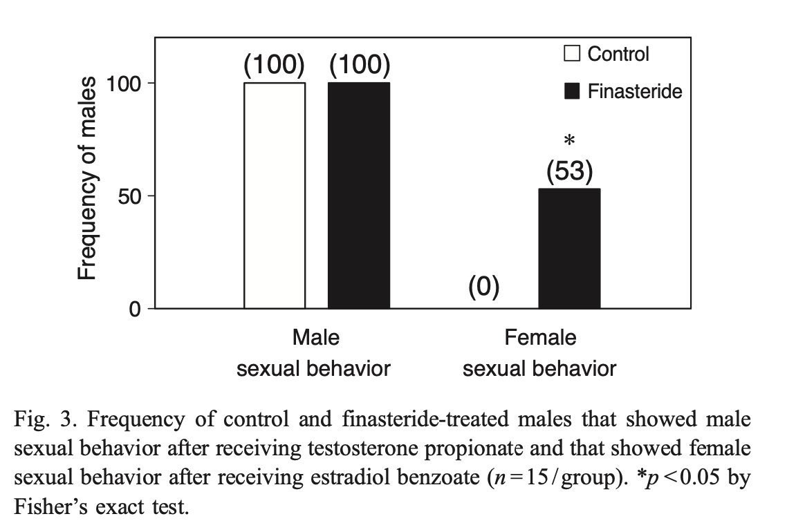 Jamal Dinkoui tweet media