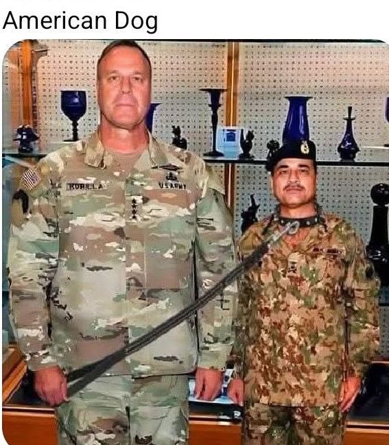 Sarzoor Talib tweet media