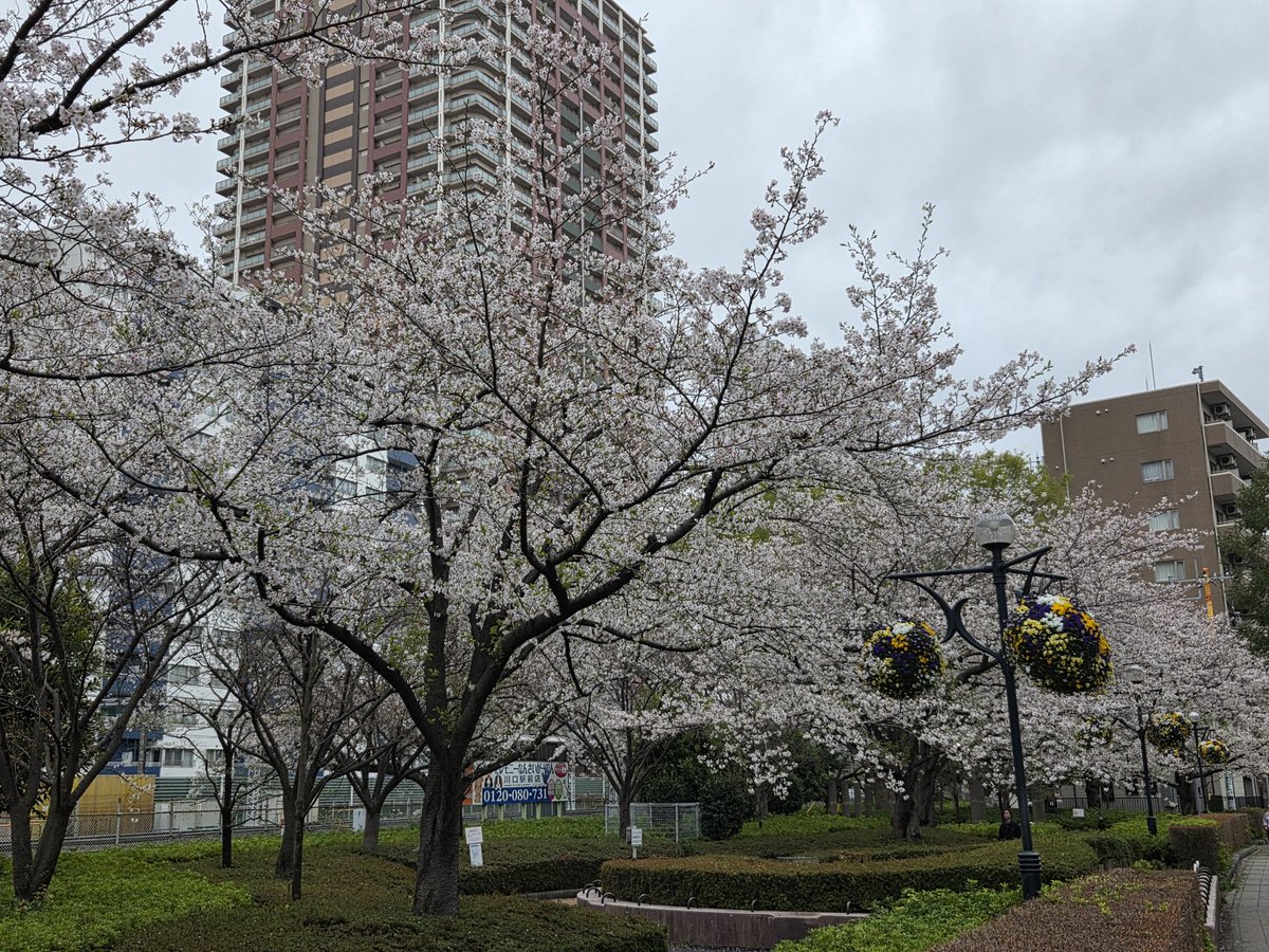 ＪＪテラダ@サナよりのオルペン tweet media