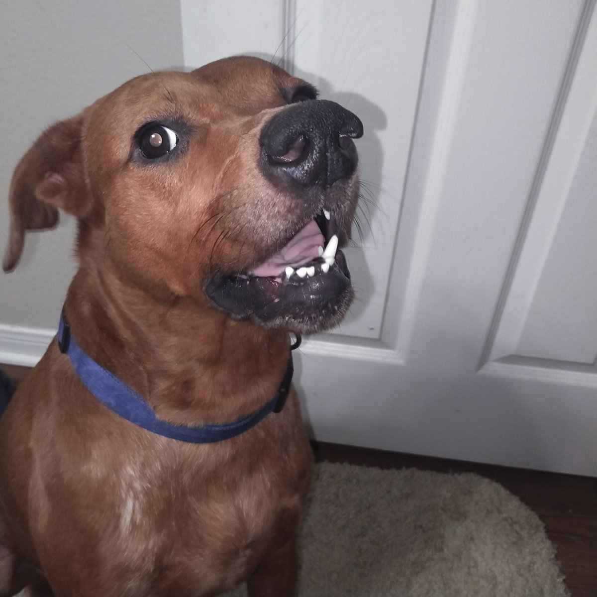 David Smith tweet media