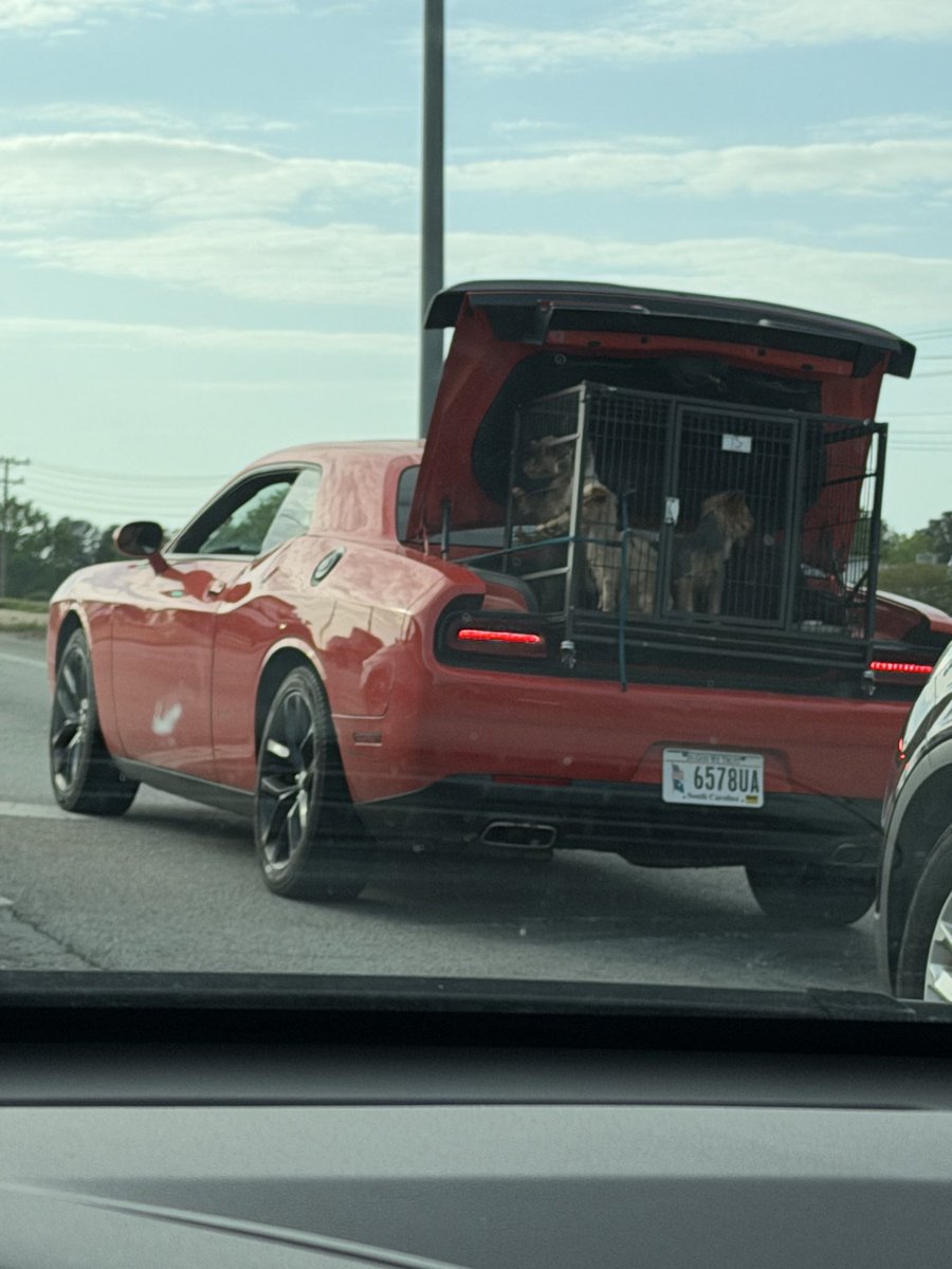 Wes Emory tweet media