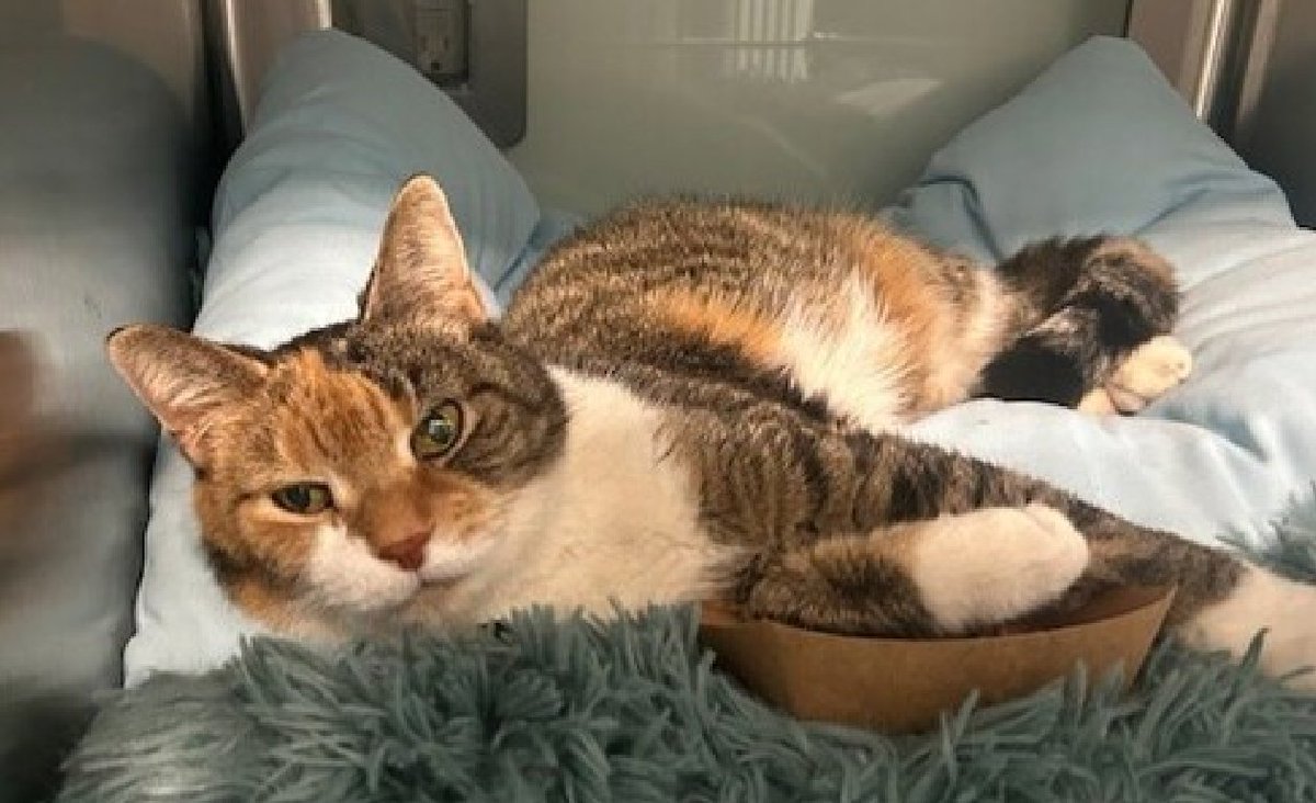 Jack5928 tweet media