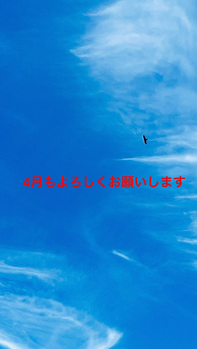 𝐦𝐚𝐬𝐚❝ 悠々とマイペース tweet media