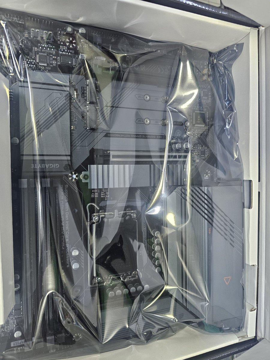 Koirandoshil tweet media