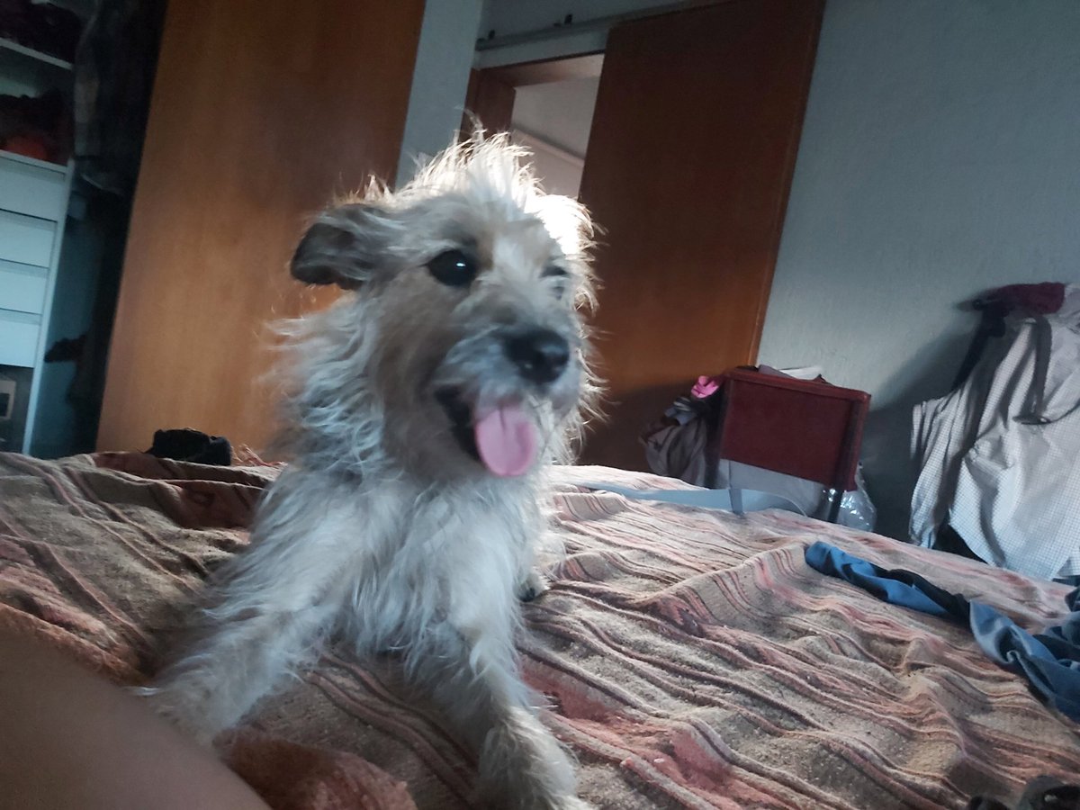 Abel.ardo tweet media