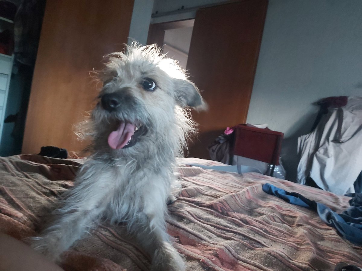 Abel.ardo tweet media