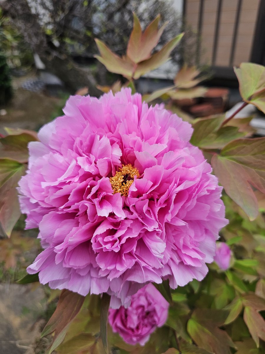 幸せな爺ーじ。仁さん。別館です、いつもありがとー😆💕✨ tweet media