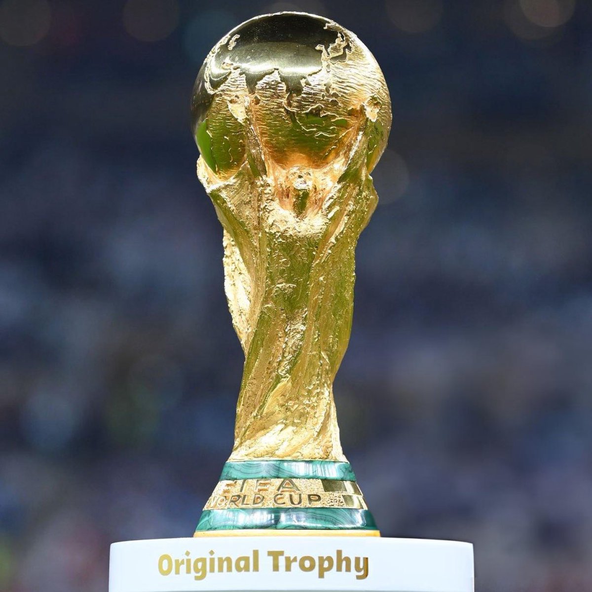 DailyAFC tweet media