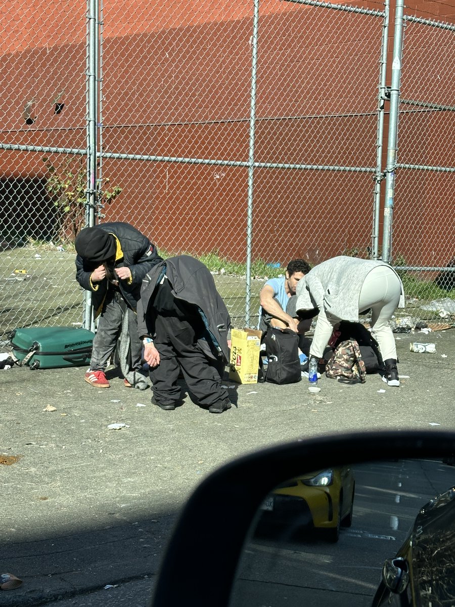 Sonya Meloff tweet media