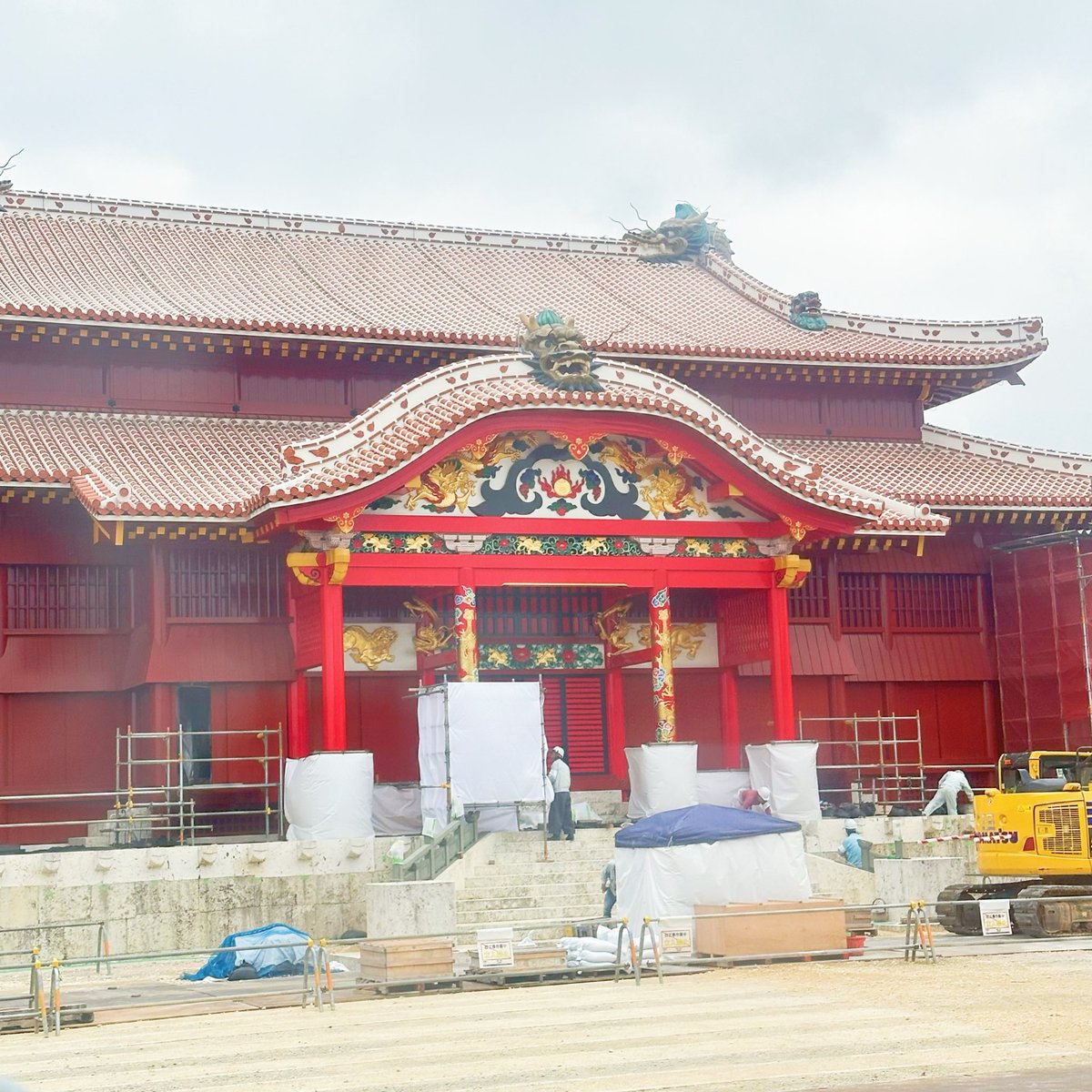 おきちゃん🐬┃楽天ROOM tweet media