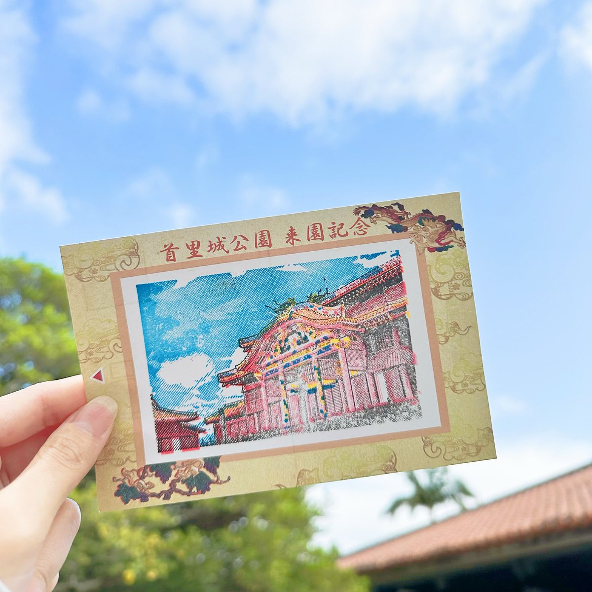 おきちゃん🐬┃楽天ROOM tweet media