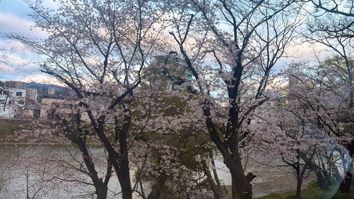 広島県呉市のセキュリティ会社【SAT】ユニオンセキュリティ【公式】 tweet media