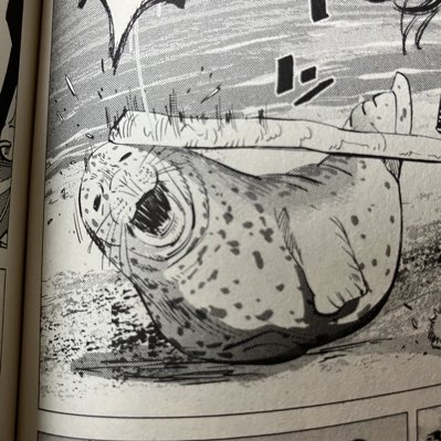 たかえ🦩特許サーチャー＆双極性障害 tweet media