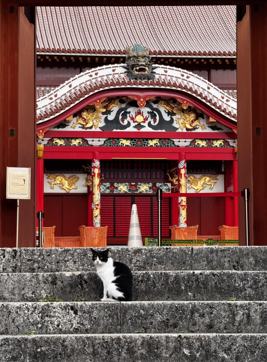 スナック　サクセス tweet media