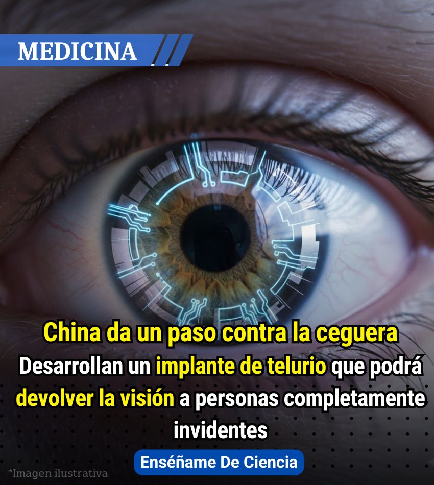 Enséñame de Ciencia tweet media