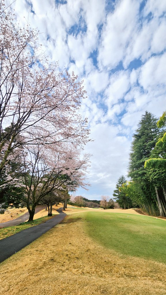 ミコ★miko★ゴルフ⛳ tweet media