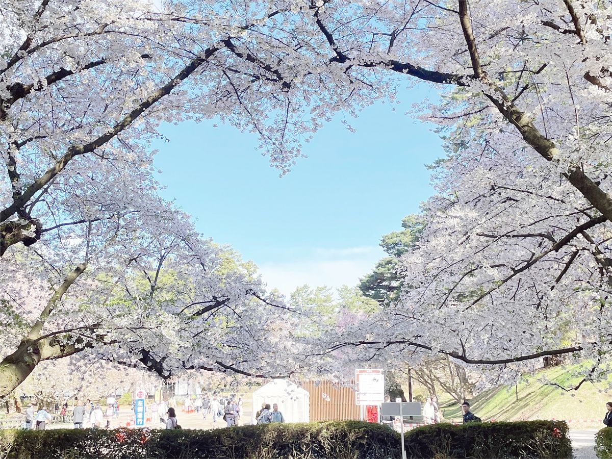 【公式】VELTRA(ベルトラ) tweet media