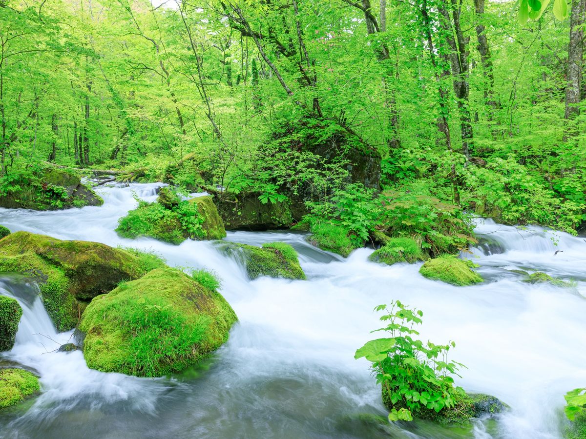 【公式】VELTRA(ベルトラ) tweet media