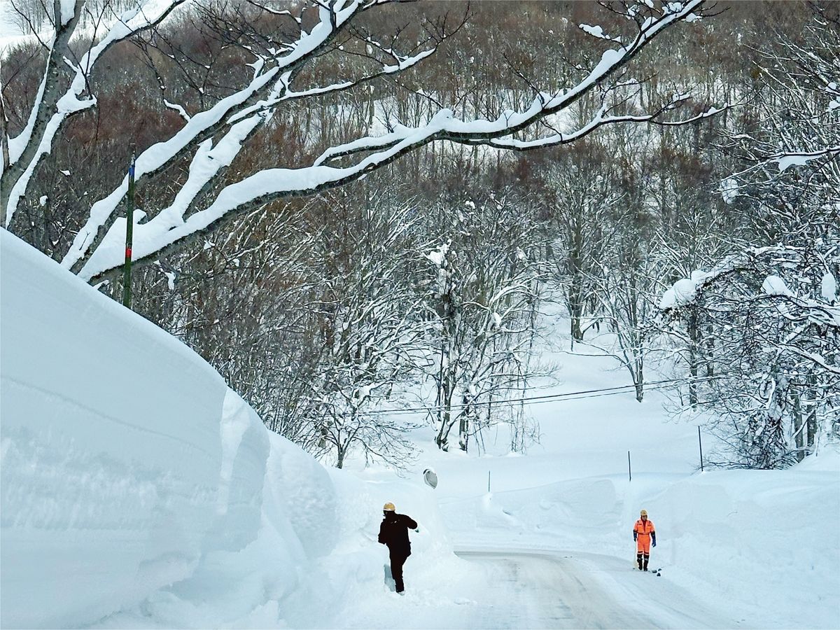 【公式】VELTRA(ベルトラ) tweet media