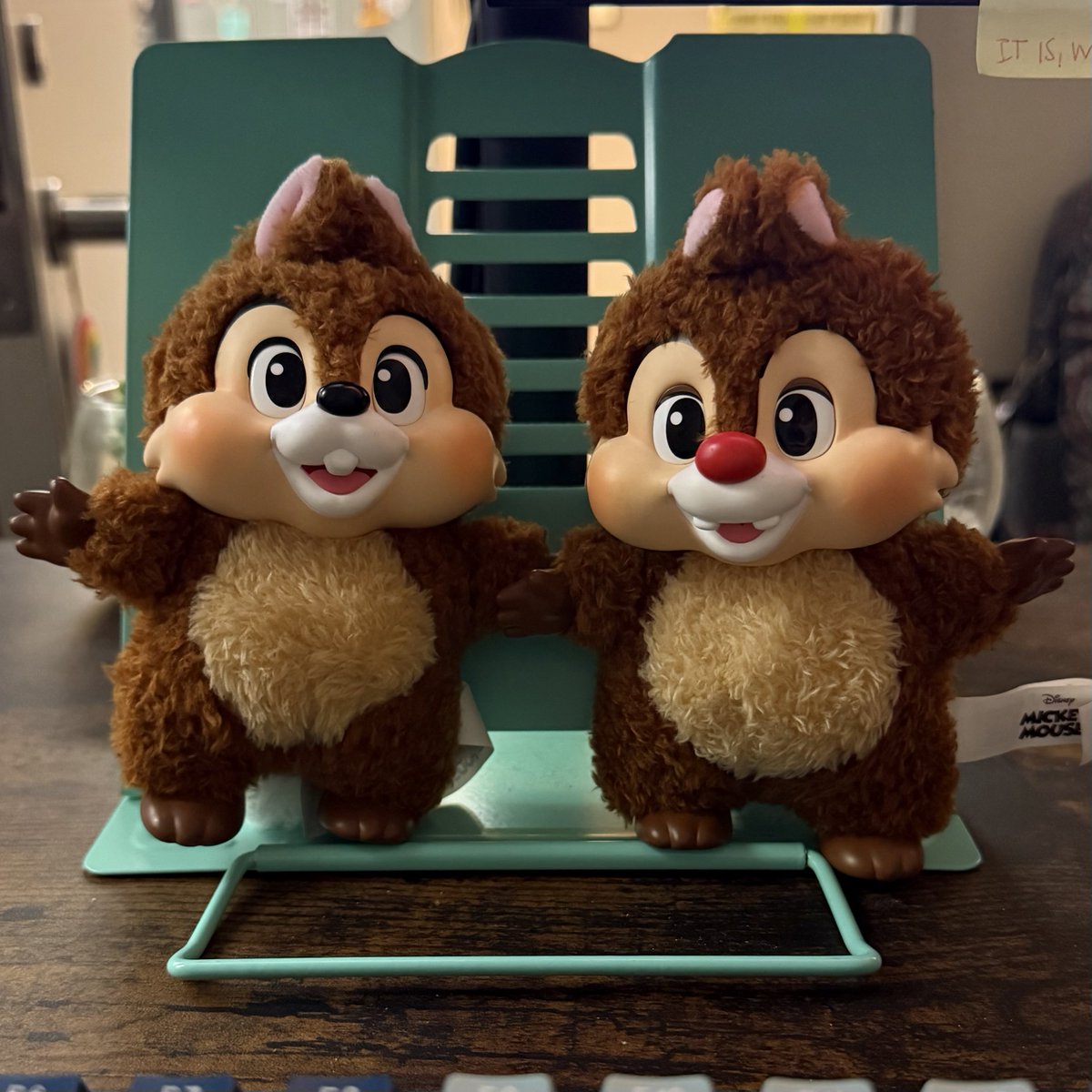 lindsy loo ☪︎⁺₊✧ tweet media