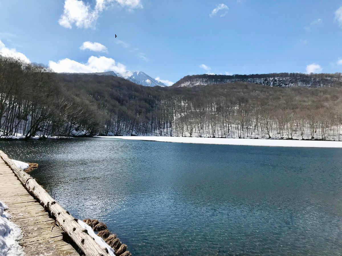 【公式】VELTRA(ベルトラ) tweet media