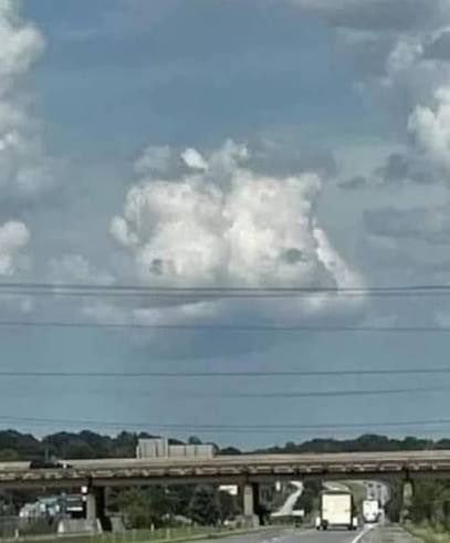 flapprdotnet's tweet image. "I see a sail boat"

"I see a dog"

"I see Bryon Noem"