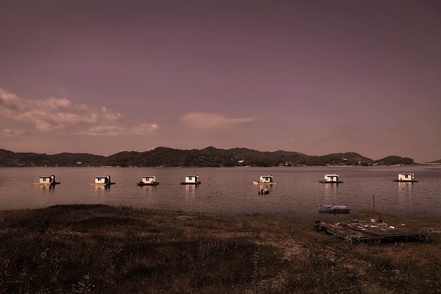 Jeremy Ramos tweet media