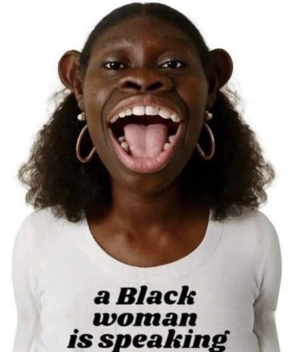 John Gulbani tweet media