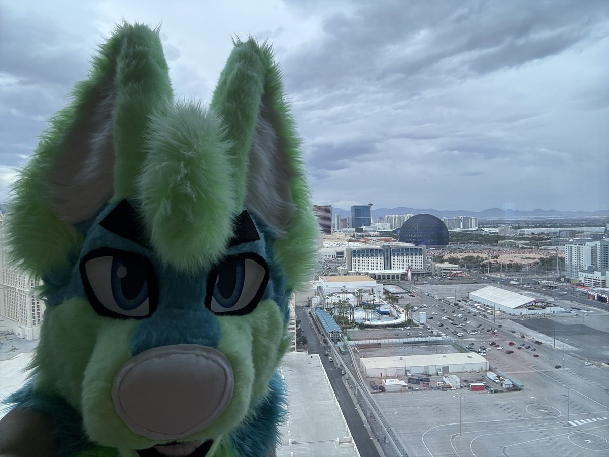 Nicolas Cage tweet media