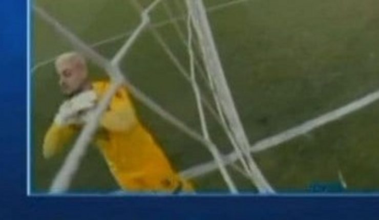 José Rojas tweet media