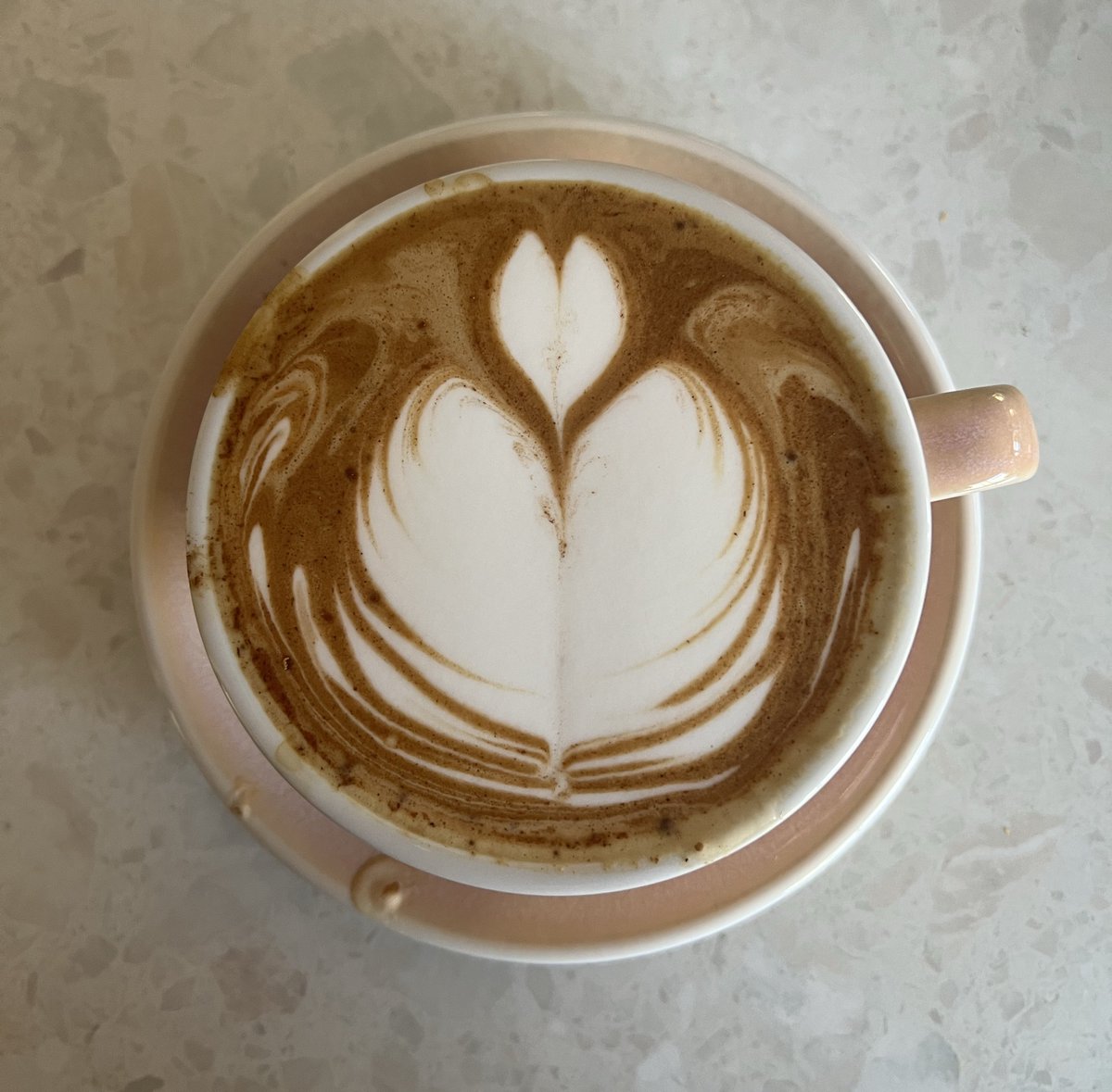 artinmycupp一杯一画 tweet media