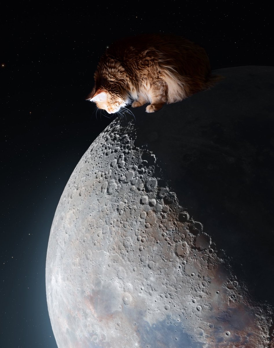 Andrew McCarthy tweet media