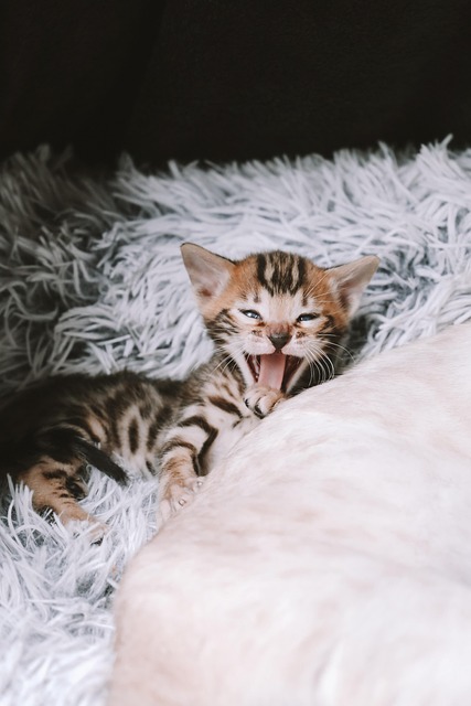 Tim Hutchison tweet media