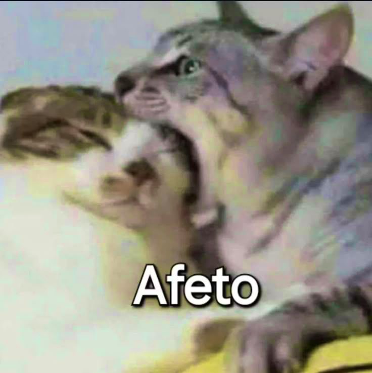 willwill tweet media