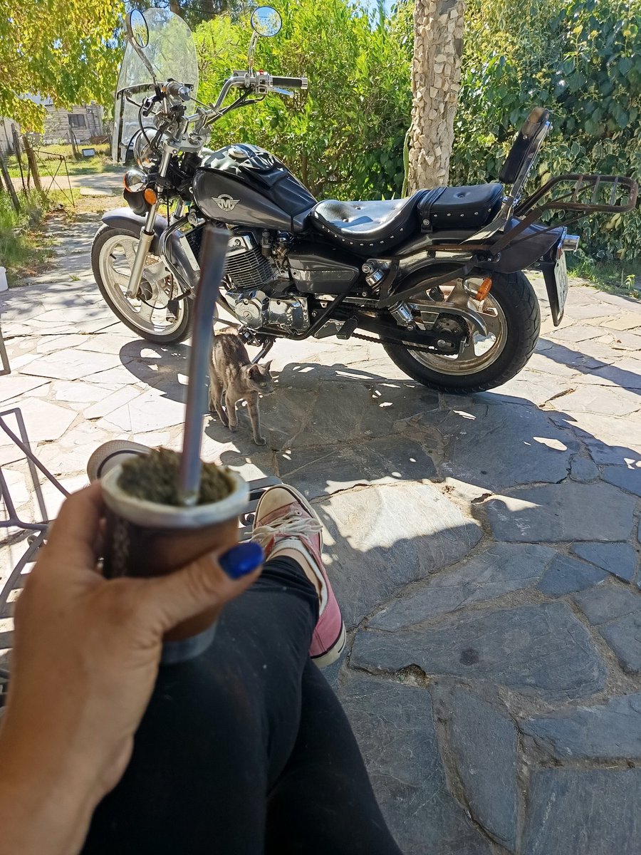 Vine a piyarme y solo voy a  decir Mondial HD 250