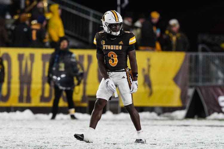 Kingston Thornton tweet media