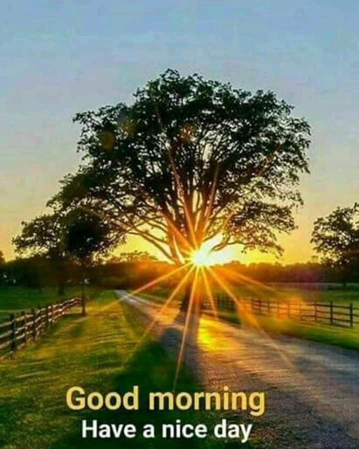 WALLPAPER KING tweet media