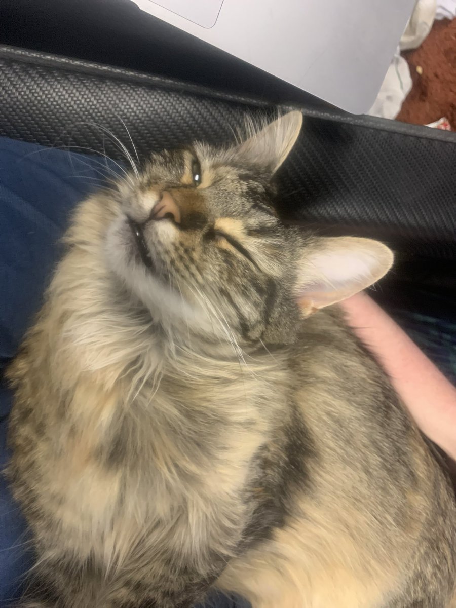 ChiS Sports tweet media