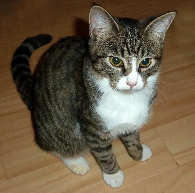 Jessica Lee tweet media