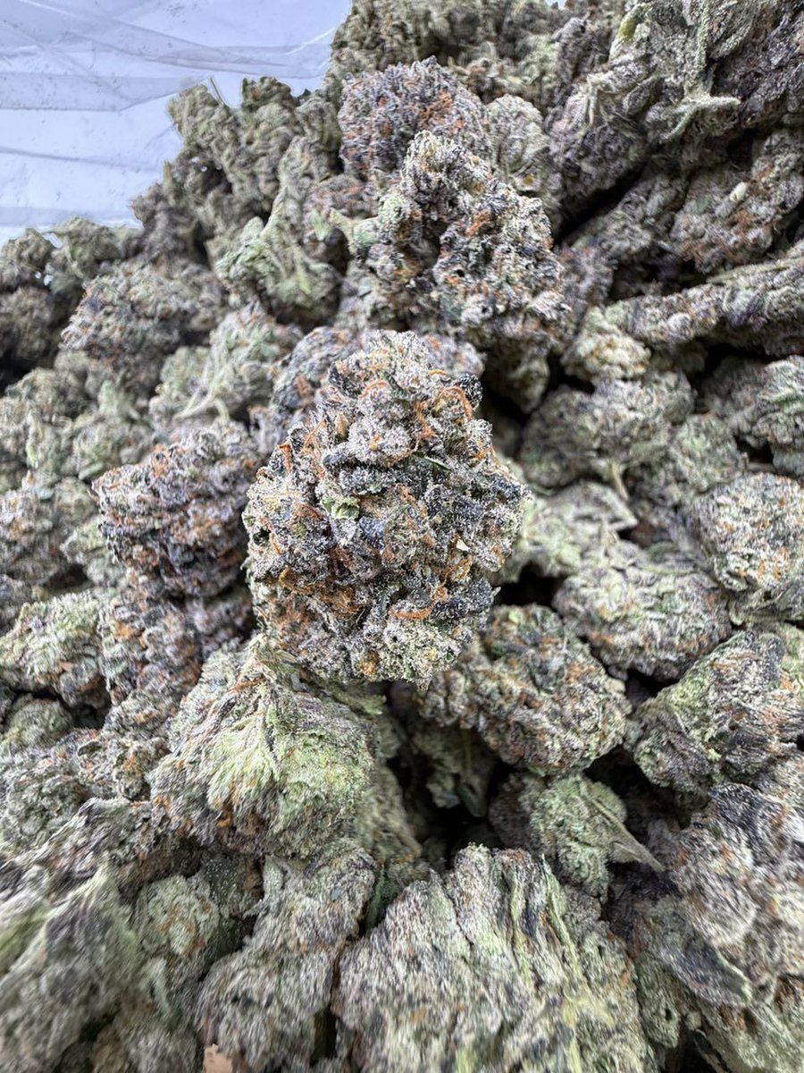 PrimeS63629's tweet photo. Y’all already know purple strawberry don’t miss out https://t.co/fTiCcDEOgE