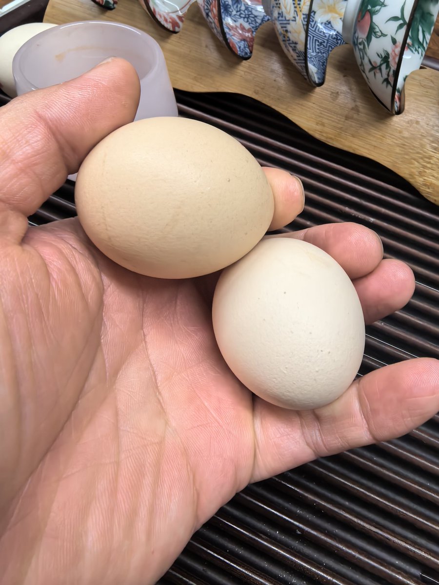 020挑战者 tweet media