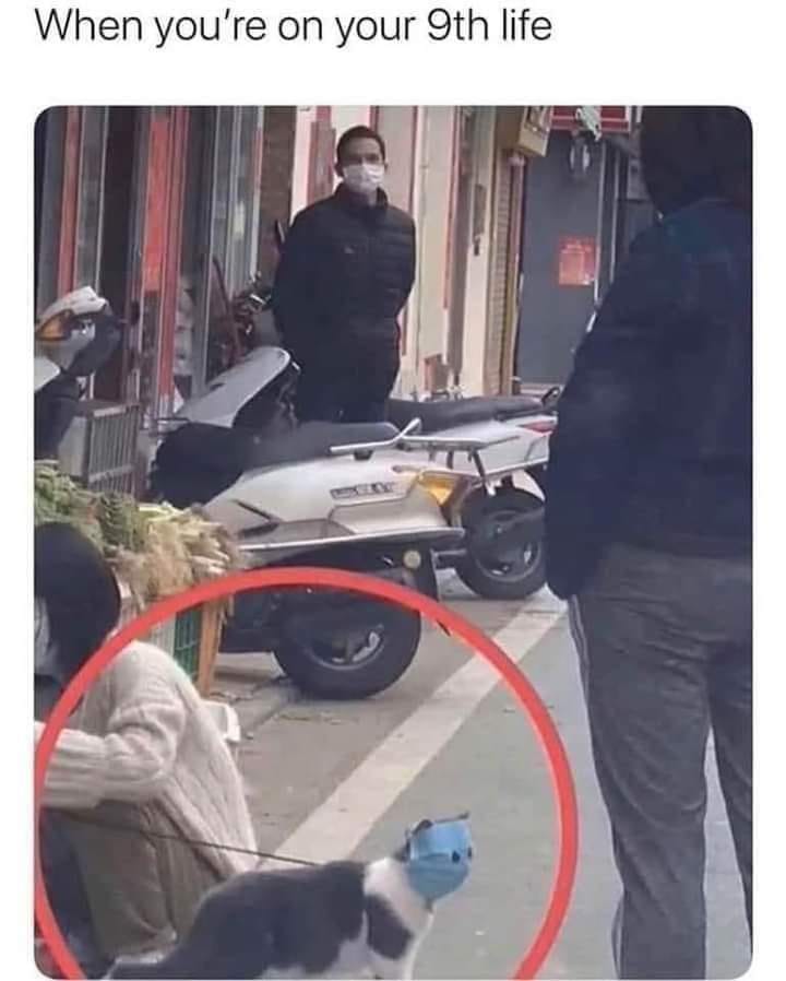 Spill The Memes tweet media