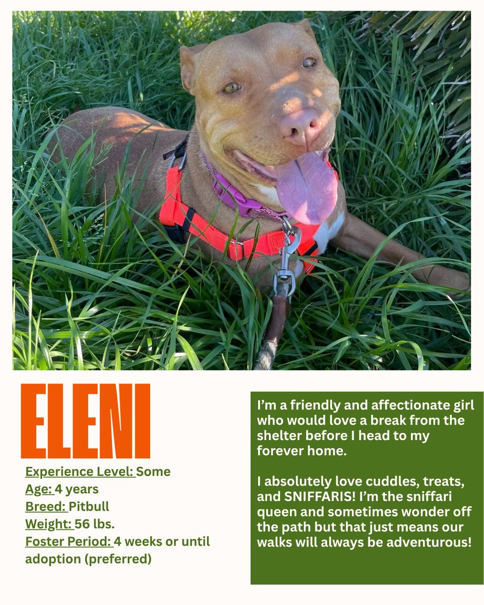 PHS/SPCA tweet media