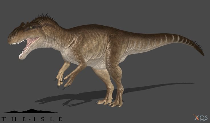 Carb🇵🇸🇨🇩🇭🇹 tweet media