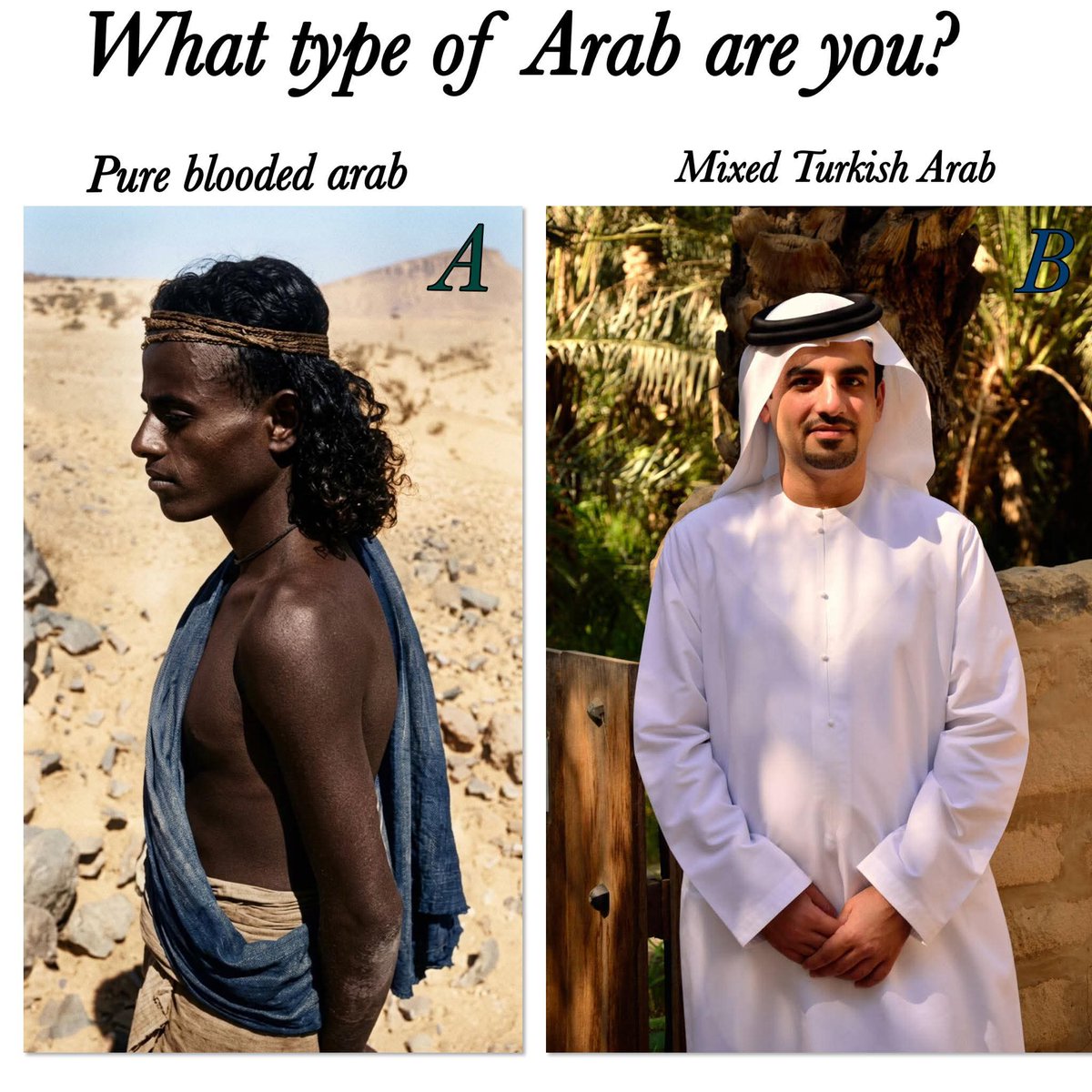 ابو عبدالرحمن #Netherland #Canada #Eritrea tweet media