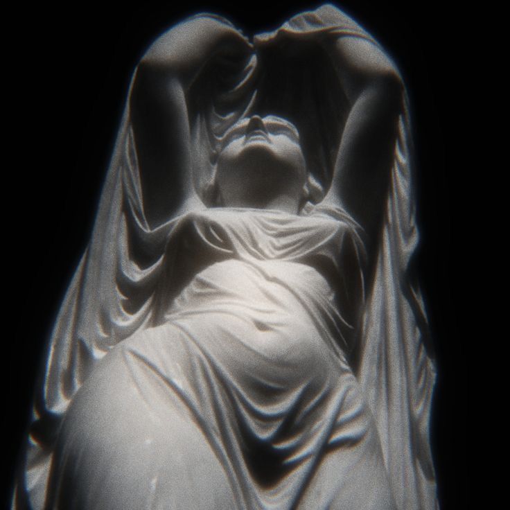 im gay for escarlana土 tweet media