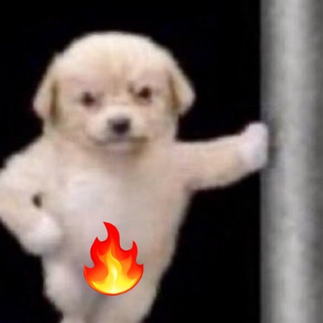 ▷ Dazed 🦝✨ Commissions Open! tweet media