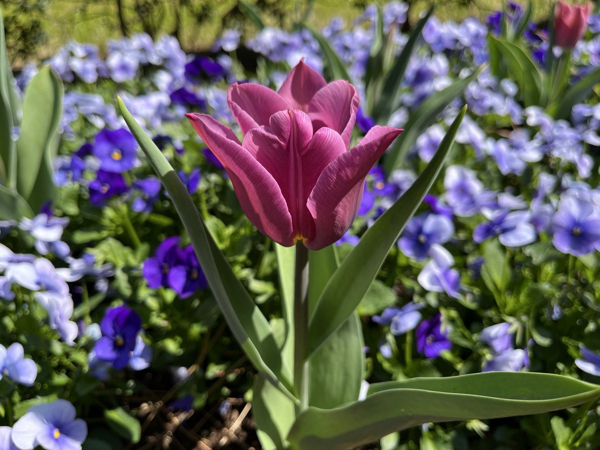 なまちゃん tweet media